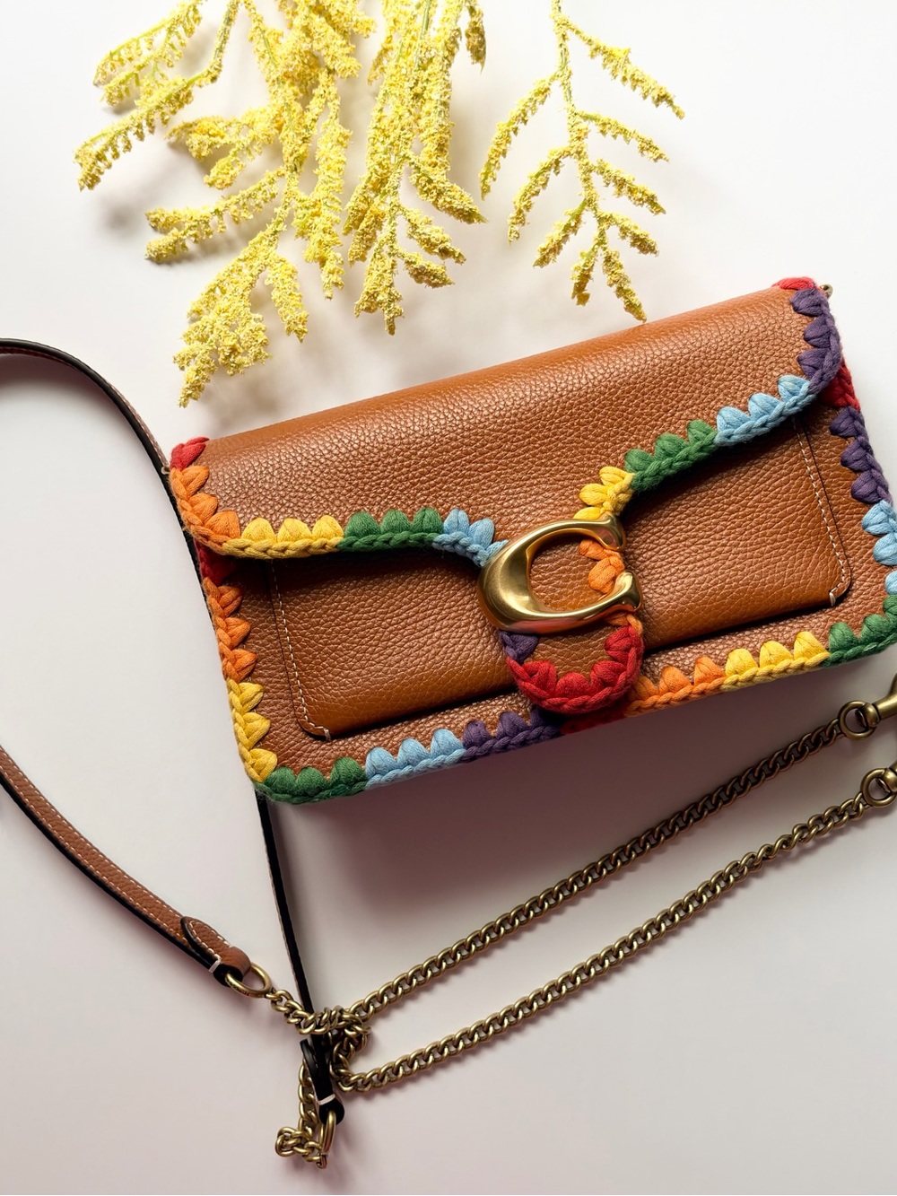 Coach Pride Tabby Chain Clutch - Picture 2 of 12